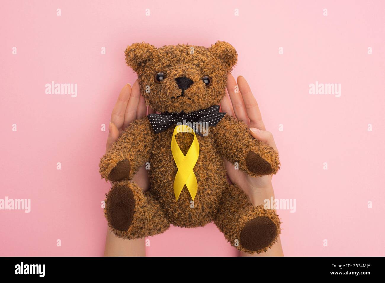 international teddy bear day