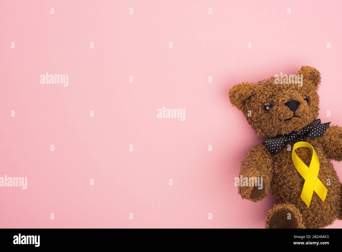 international teddy bear day