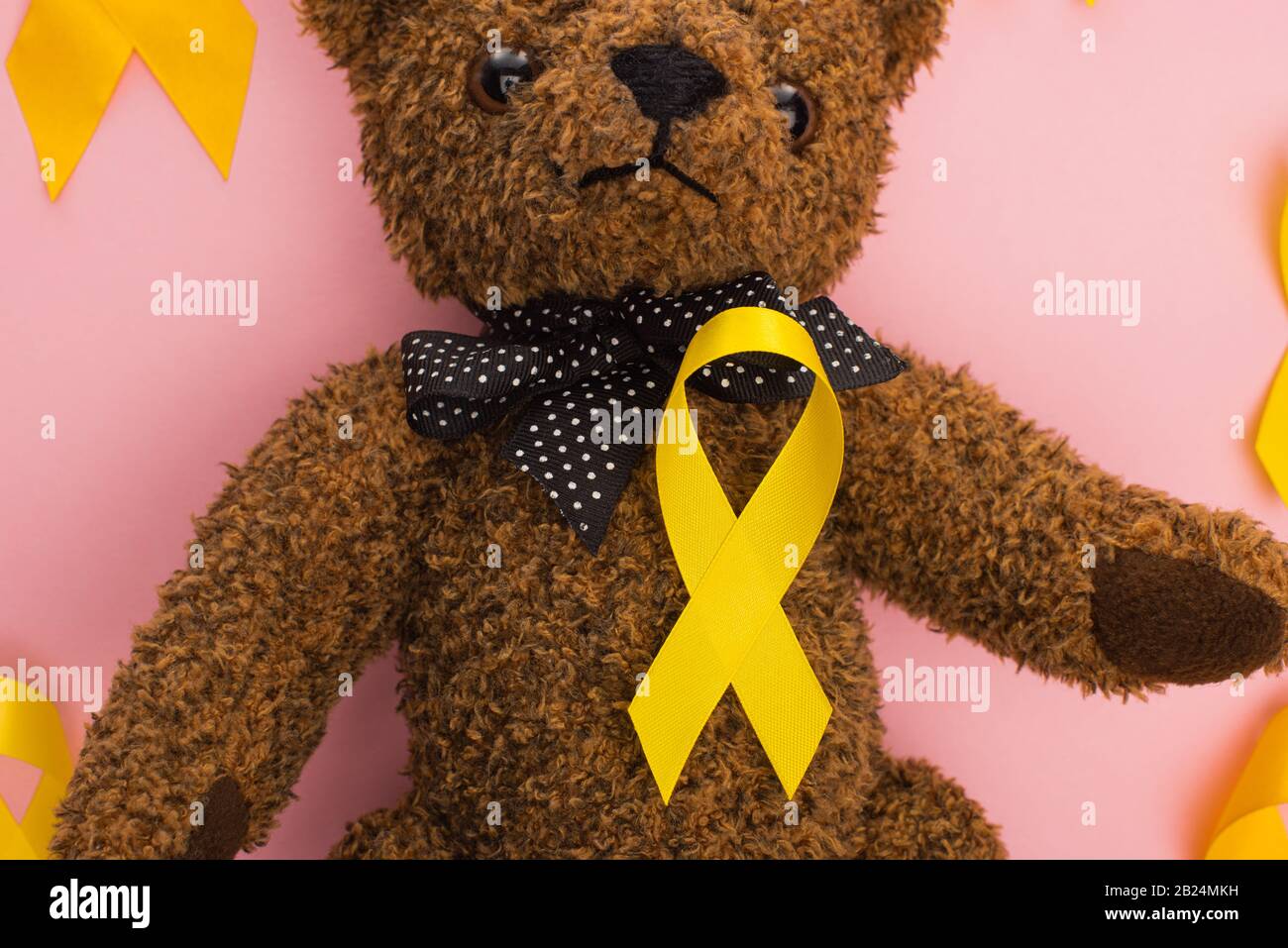 international teddy bear day