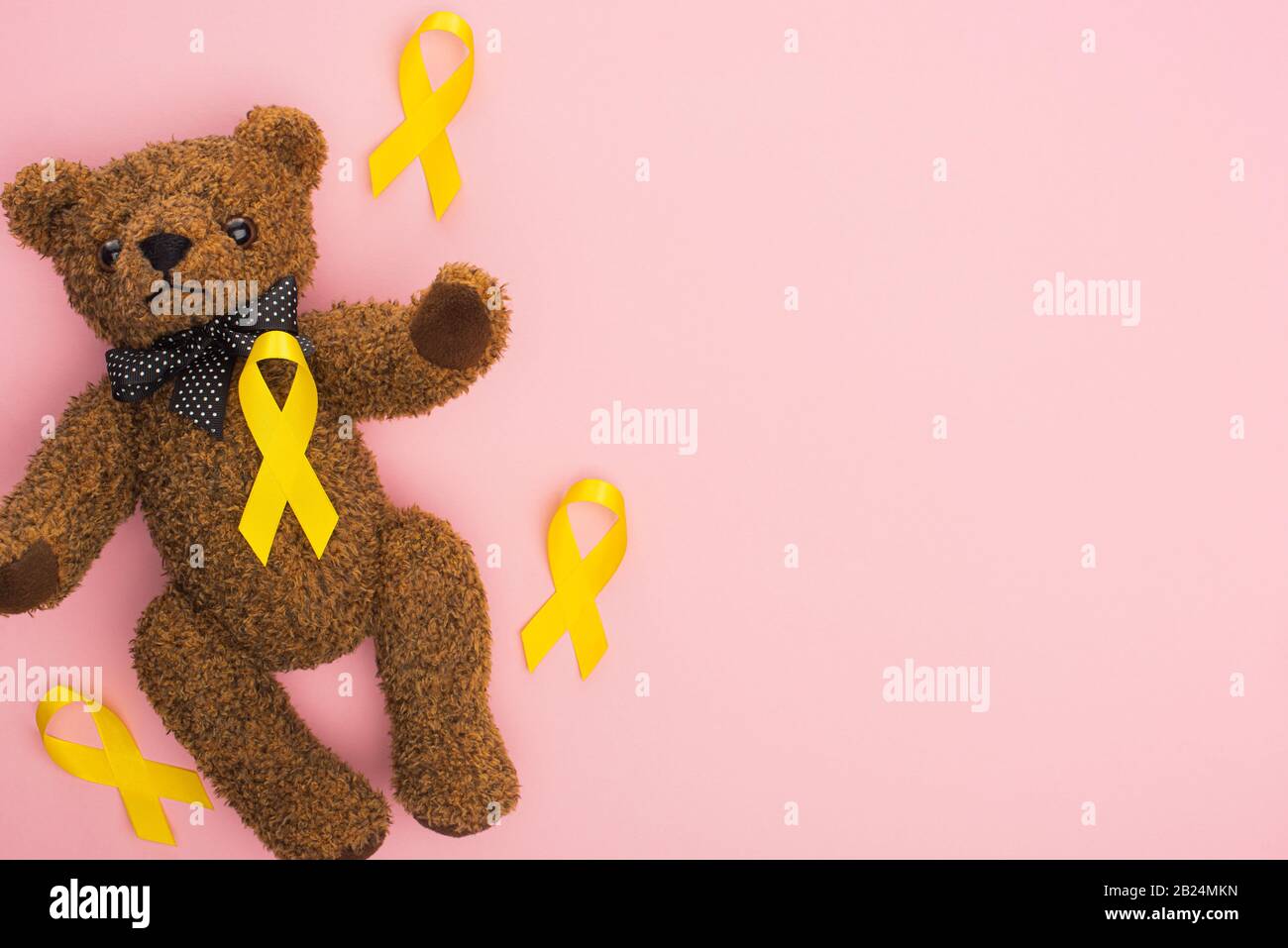 international teddy bear day
