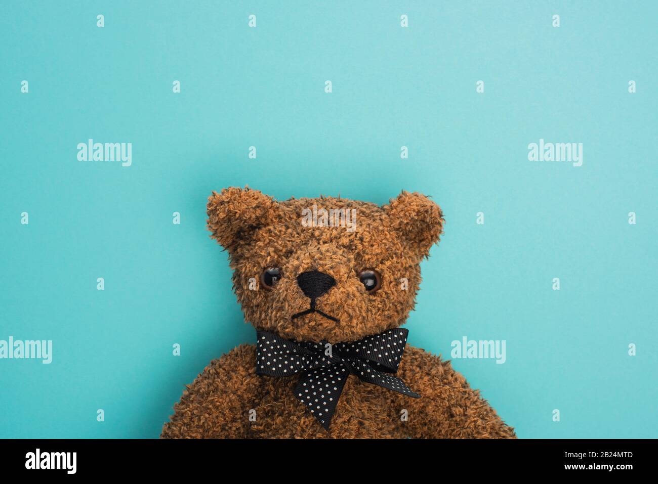 Teddy Bear With Bow High Resolution Stock Photography and Images - Alamy