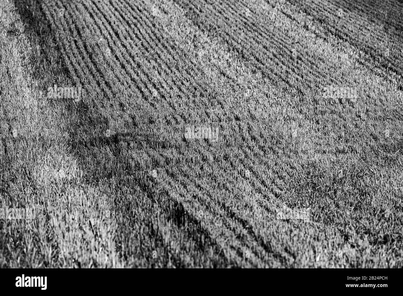 Wilstone reservoir Black and White Stock Photos & Images Alamy