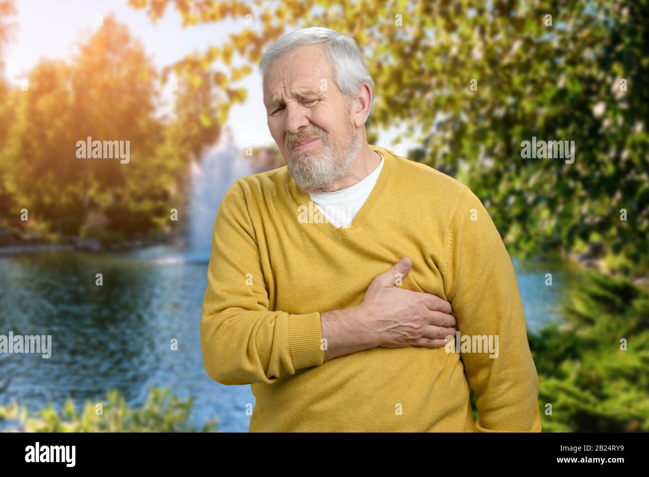 Heart attack in the park near the lake. Stock Photo
