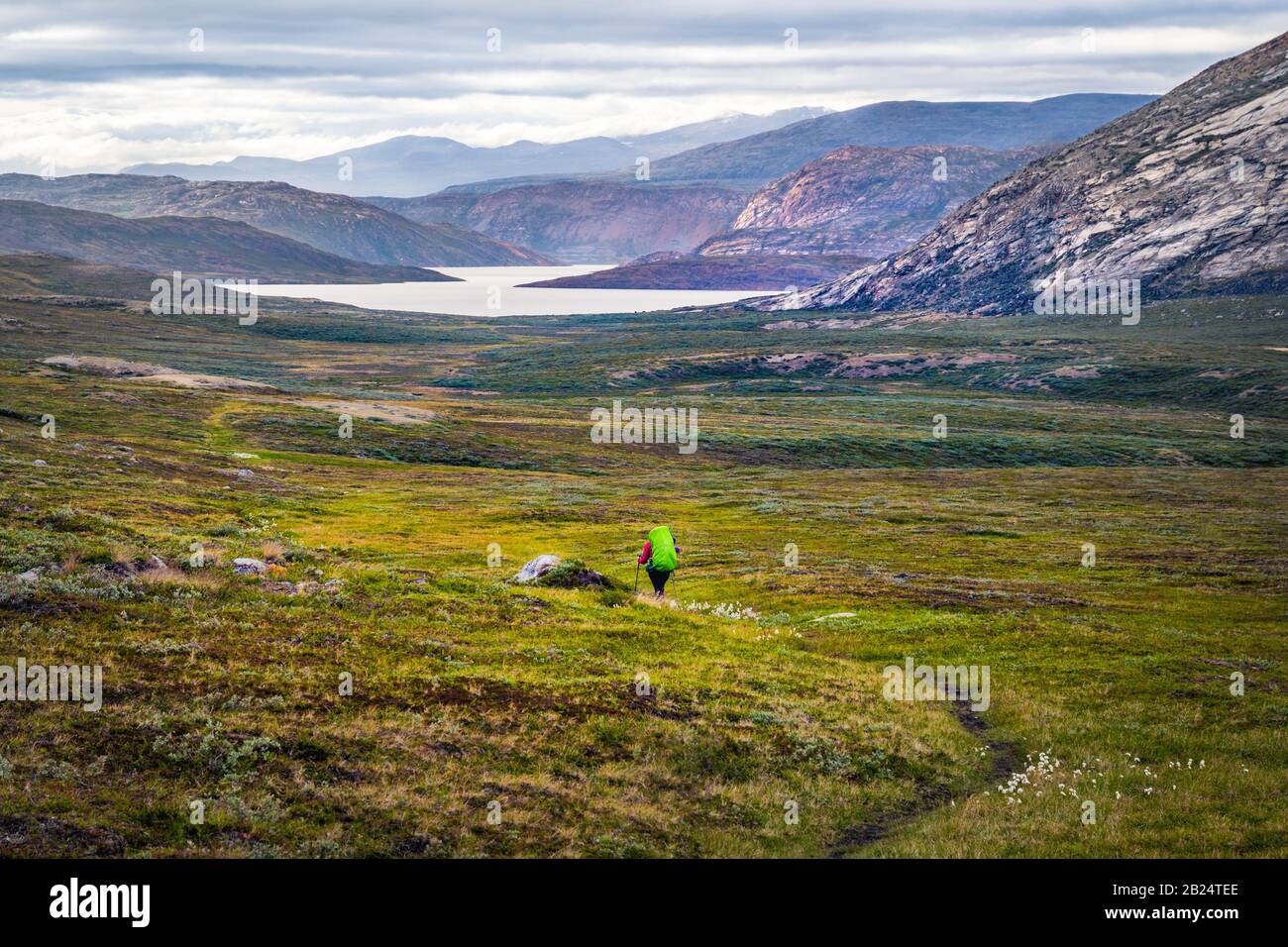 Hiking on neverending swamps and meadows of Arctic Circle Trail, Greenland Stock Photo