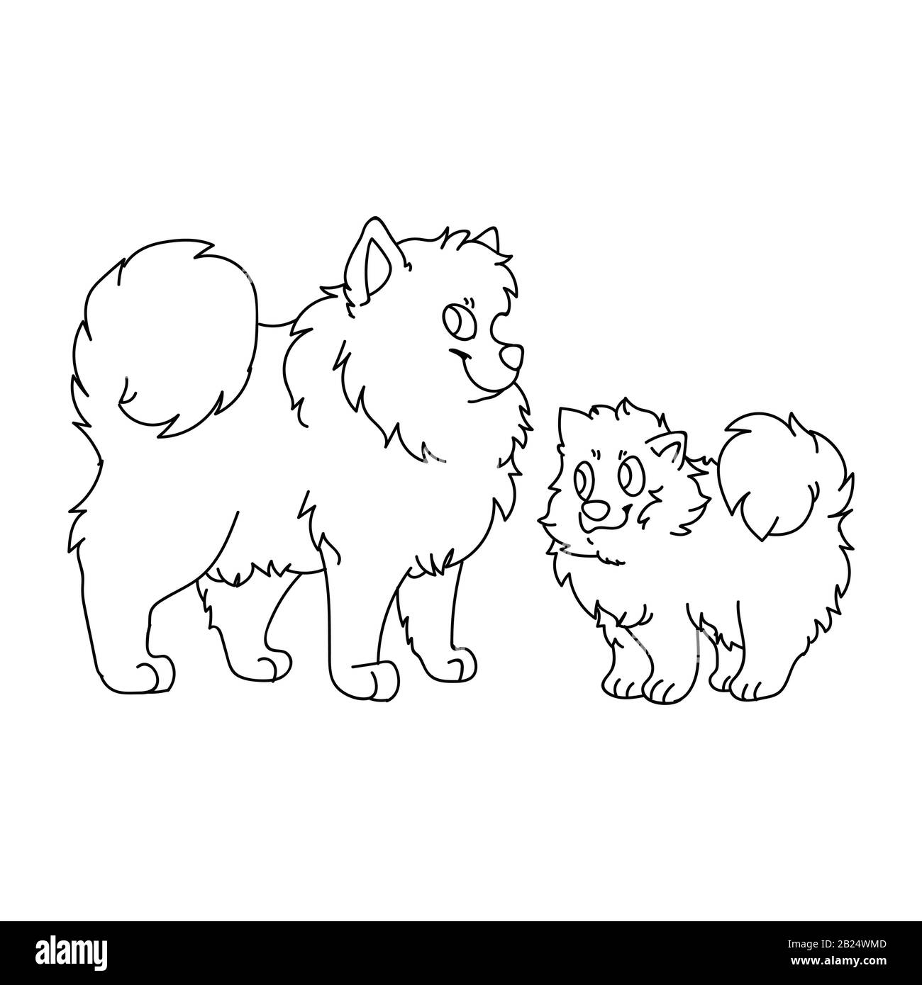 Spitz Puppy Baby Black And White Stock Photos Images Alamy Spitz Puppy Baby Black And White Stock Photos Images Alamy