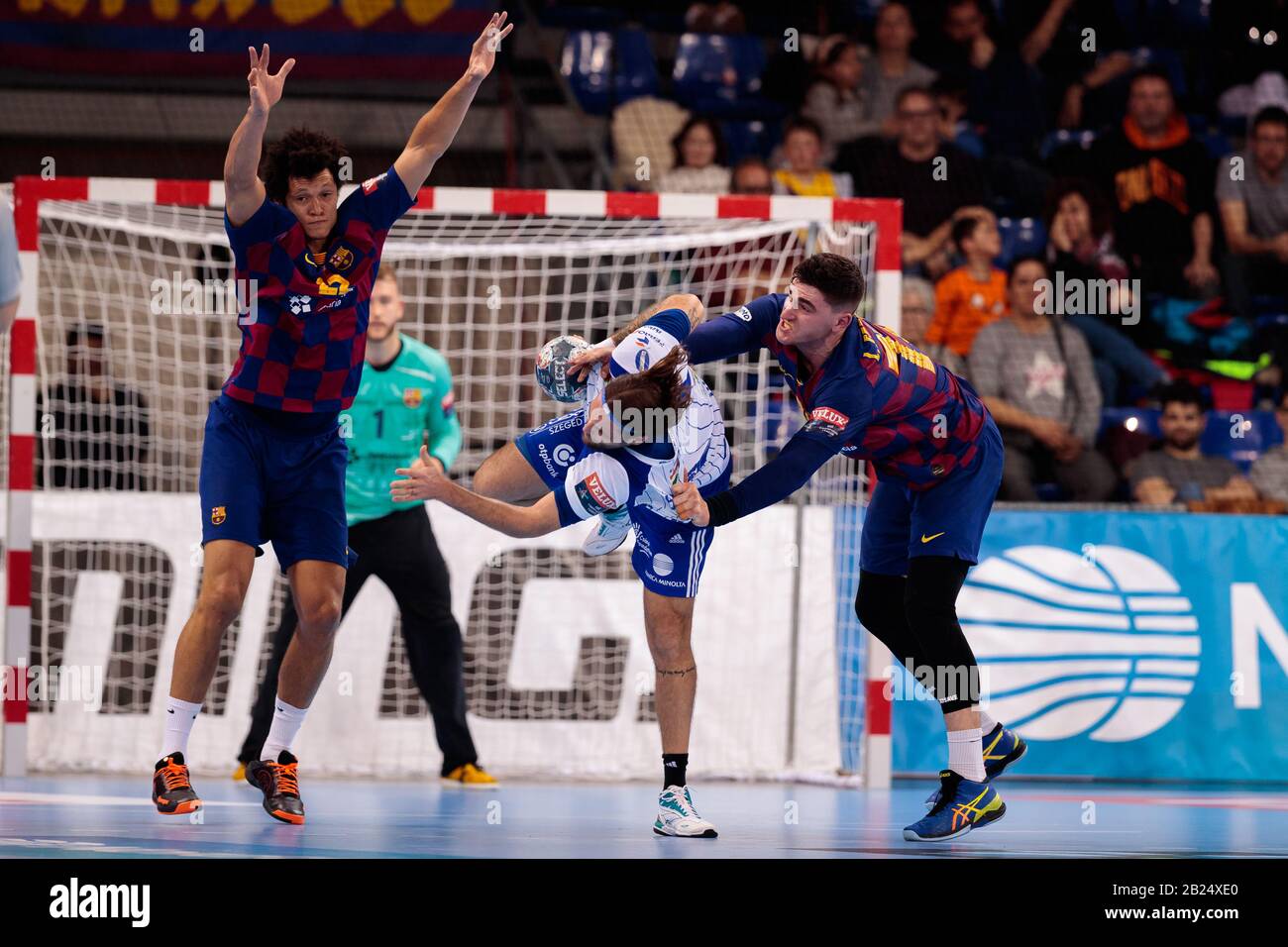 Ehf champions league velux hi-res stock photography and images - Page 11 -  Alamy