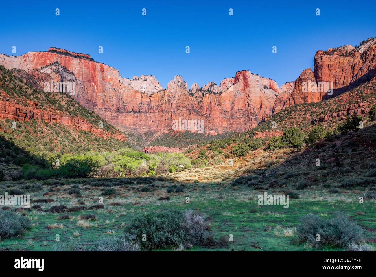 Zion national park spring hi-res stock photography and images - Alamy