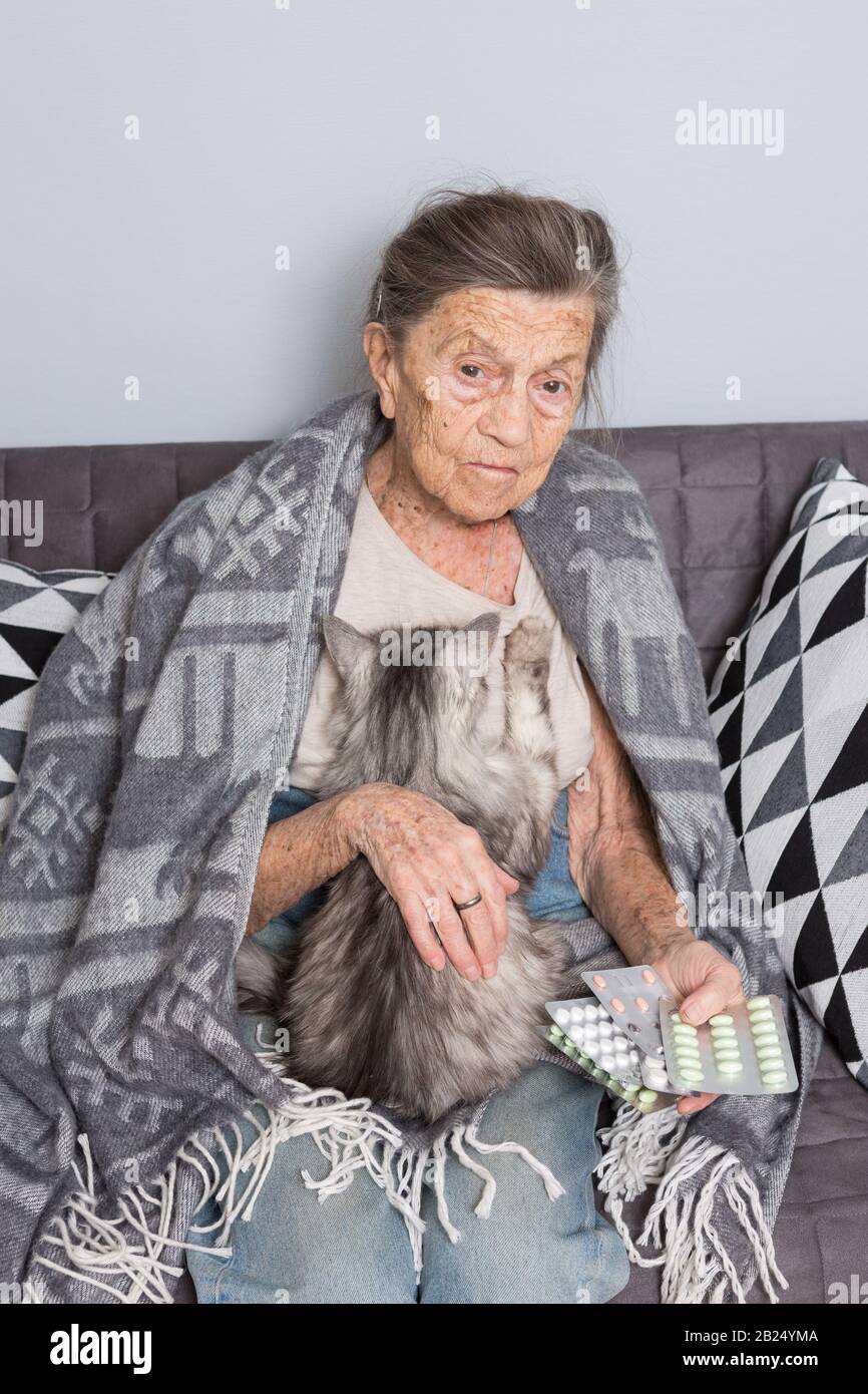 theme old age, loneliness health care. old grayhaired Caucasian woman with deep wrinkles sitting with pet animal cat. poor grandmother holding blister Stock Photo