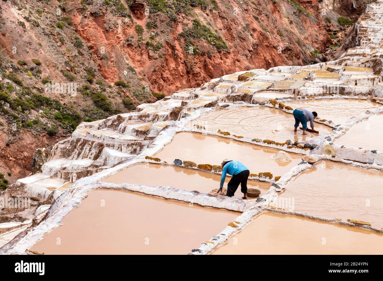 Workers in salt pans at Salt ponds of Maras (Salinas de Maras), Sacred Valley, Peru Stock Photo
