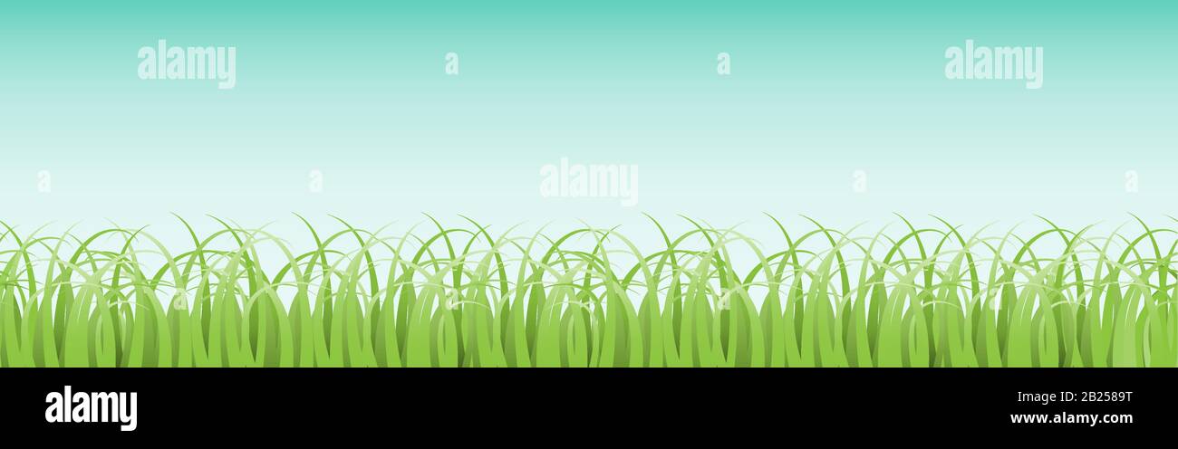 Panoramic horizontal seamless grass pattern with blue sky background Stock Vector