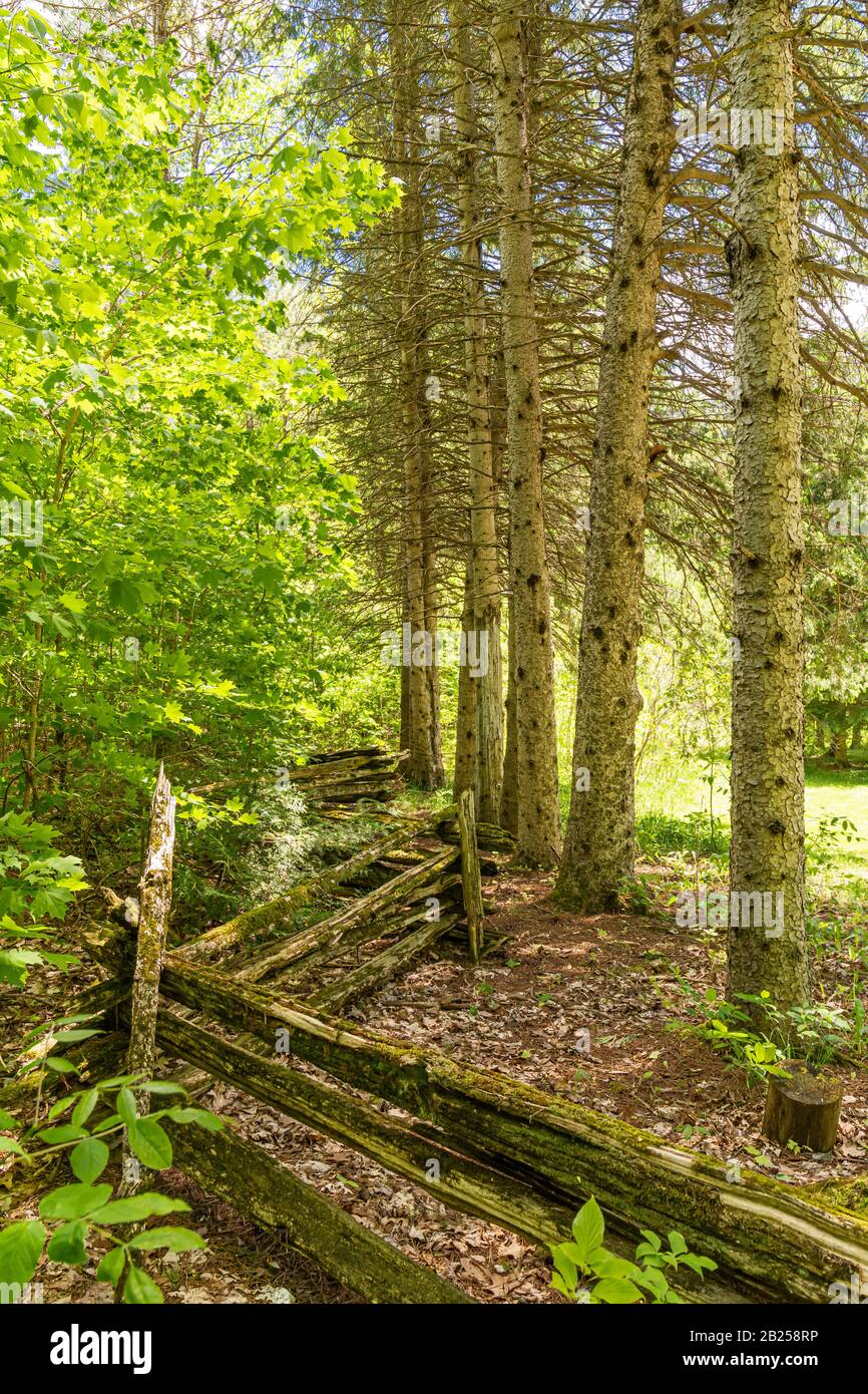 O'Hara Settlement and Homestead Provincial Park Madoc Ontario Canada in