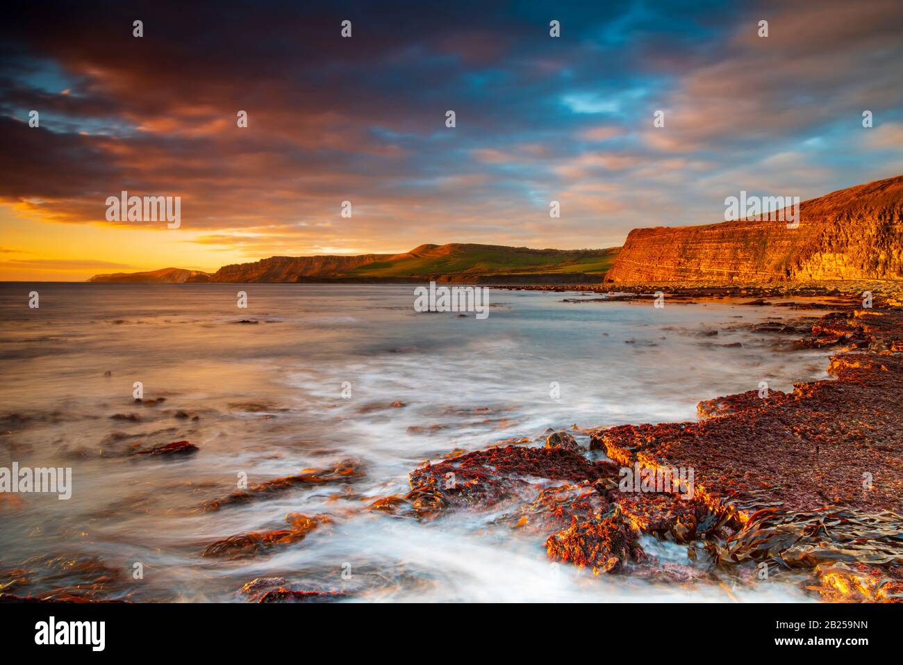 Deep blue skies are contrasted against the golden cliffs of the Jurassic Coastline at Kimmeridge Bay in Dorset Stock Photo