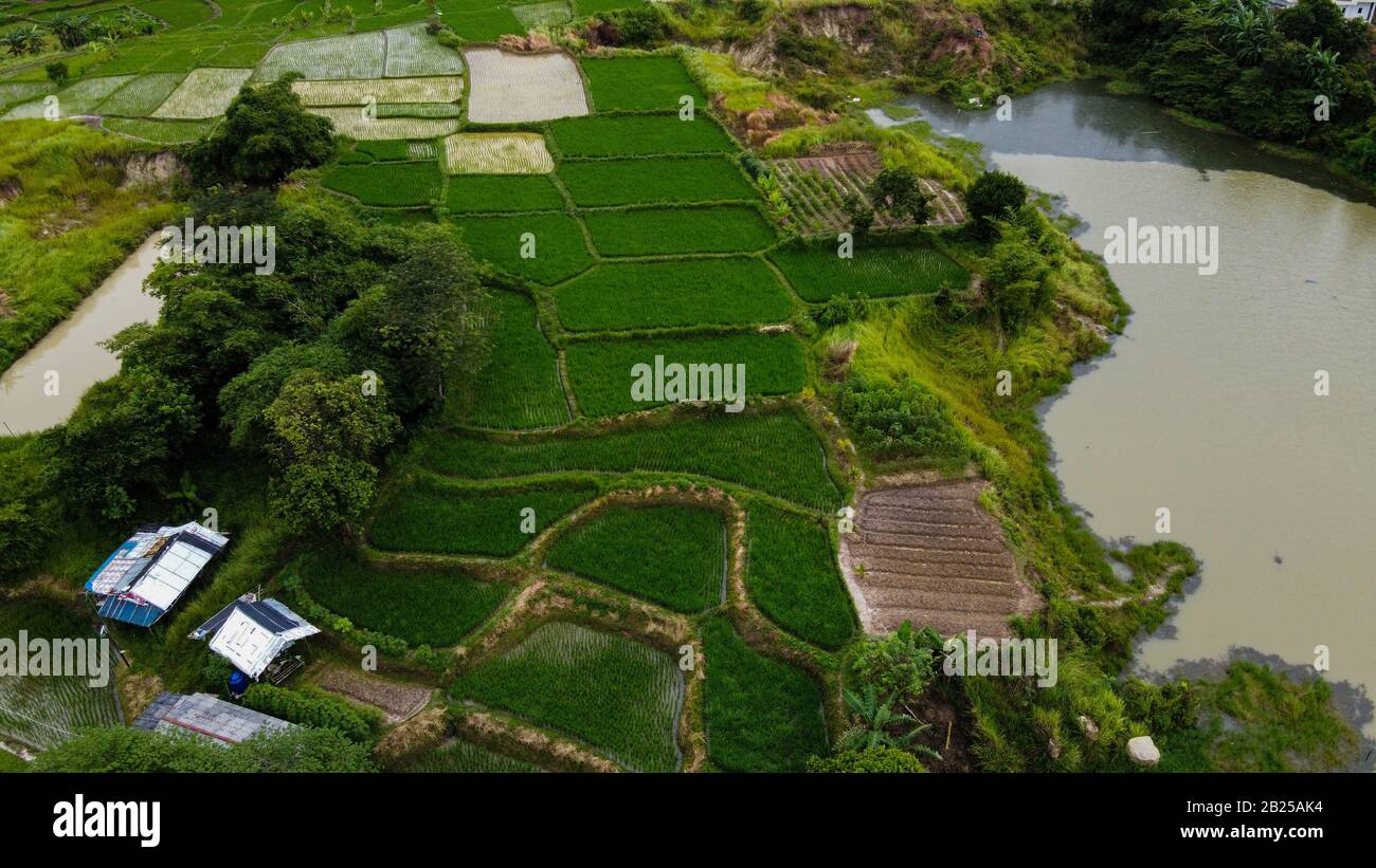 Aerial view beautiful green lake and surrounded by green grass Stock ...