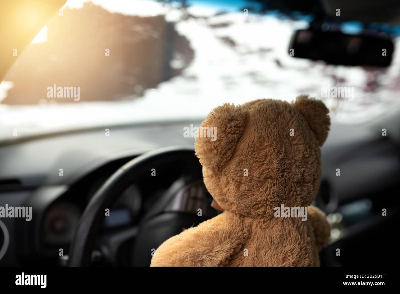 teddy bear in car