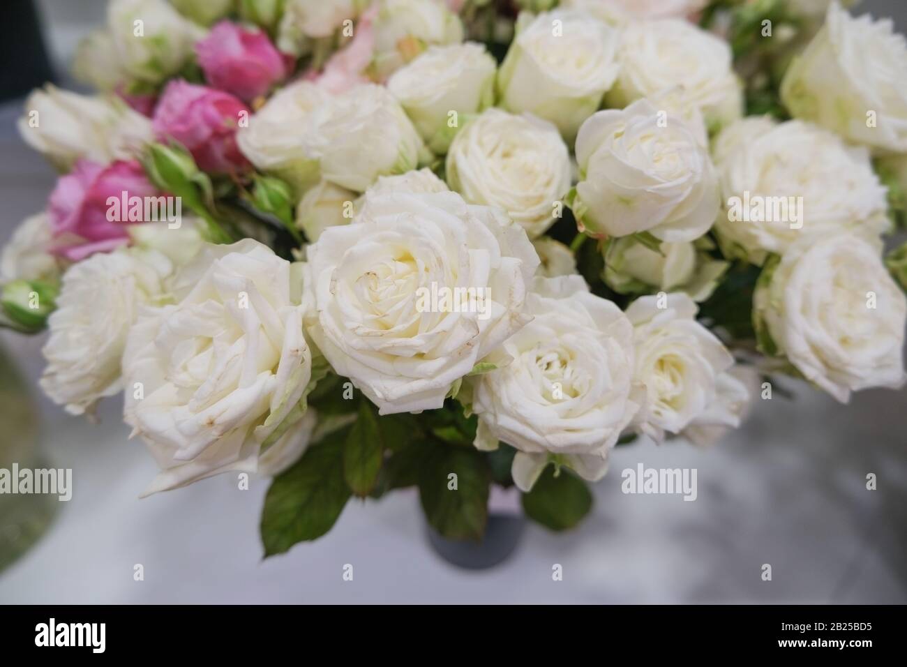 White Running Roses Florist running red roses hi-res stock photography and images - Alamy