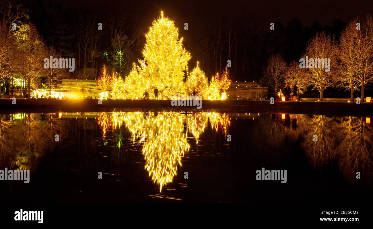 Biltmore Estate Christmas Tree Reflection Stock Photo