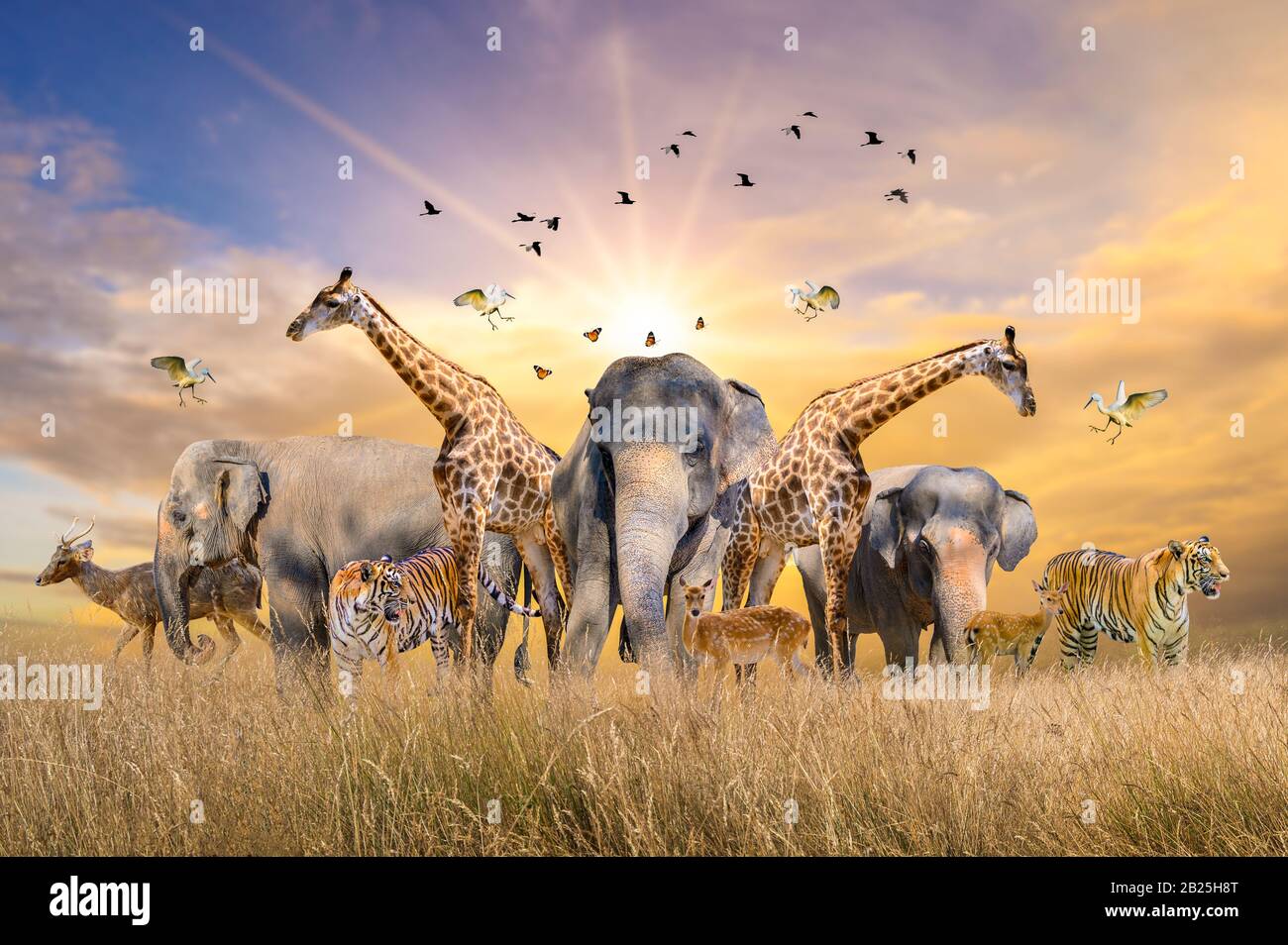 Large group of african safari animals. Wildlife conservation concept Stock Photo