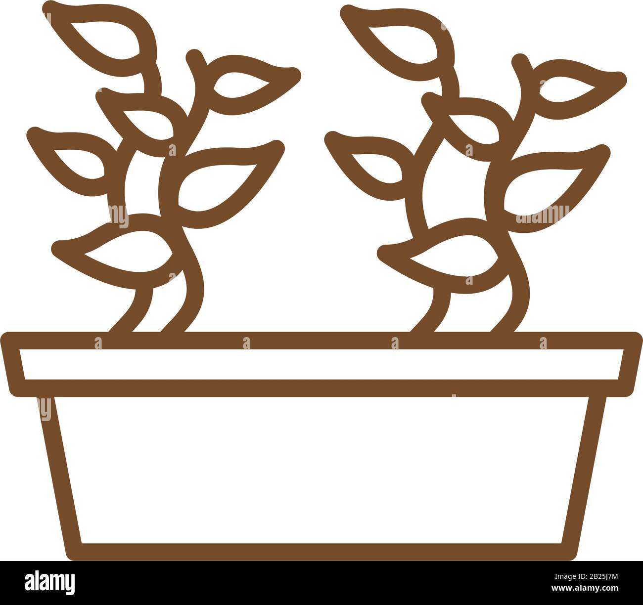 Isolated plant inside pot line style icon vector design Stock Vector ...