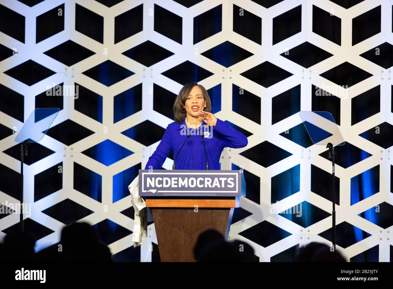 Charlotte, USA. 29th Feb, 2020. Delaware Congresswoman, Lisa Blunt Rochester, speaks at the Blue NC Celebration at the Hilton Charlotte University Place Hotel on February 29, 2020 in Charlotte, North Carolina. Credit: The Photo Access/Alamy Live News Stock Photo