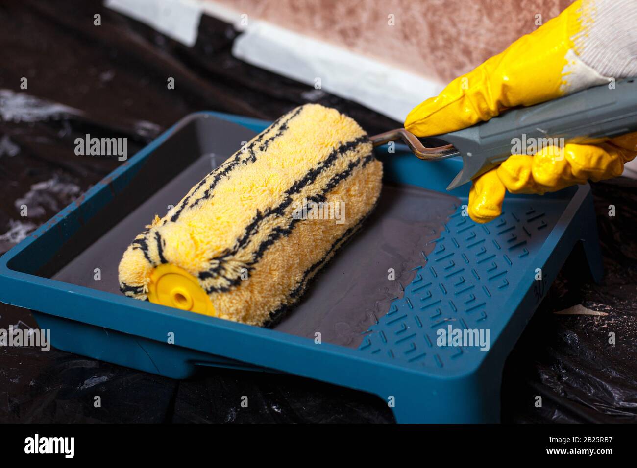 paint roller in a container. Сoncept Painting works Stock Photo Alamy