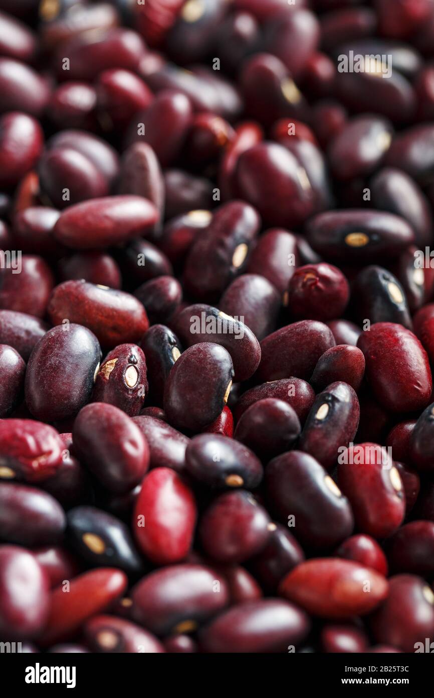 Closeup of a grain of red bean seeds. The texture of the legumes. Close