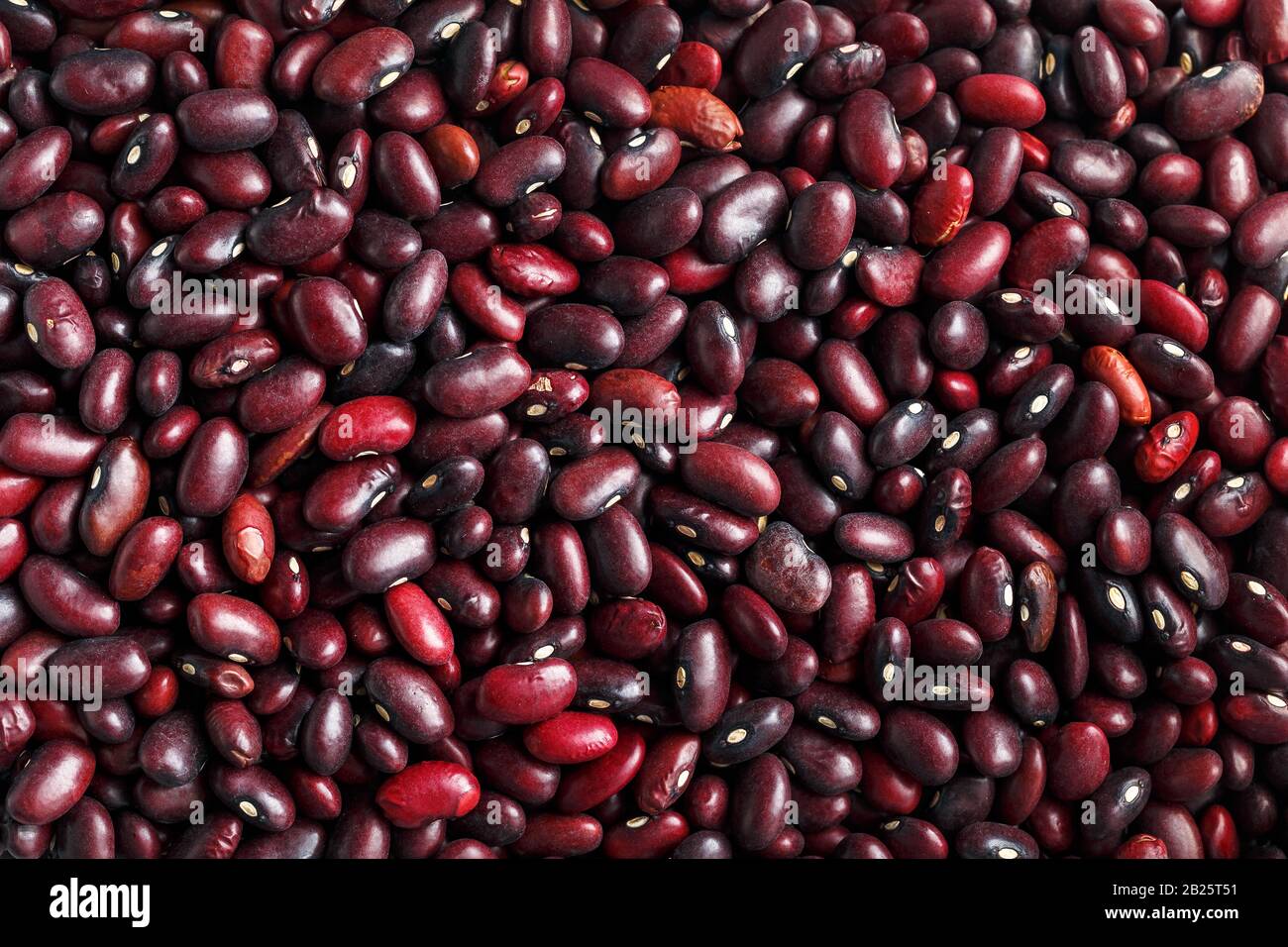 Closeup of a grain of red bean seeds. The texture of the legumes. Close