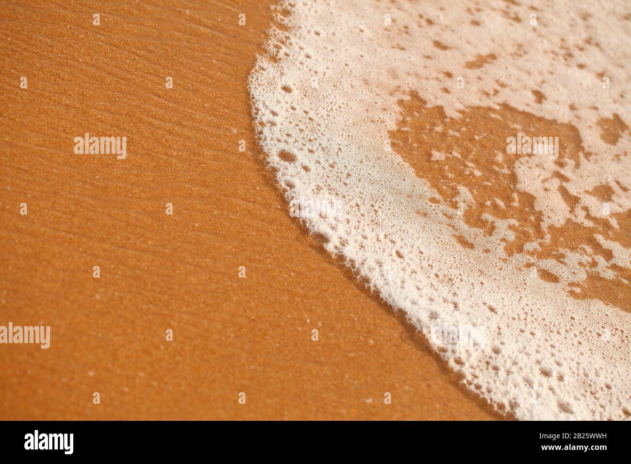white foam on sandy tropical ocean beach Stock Photo Alamy