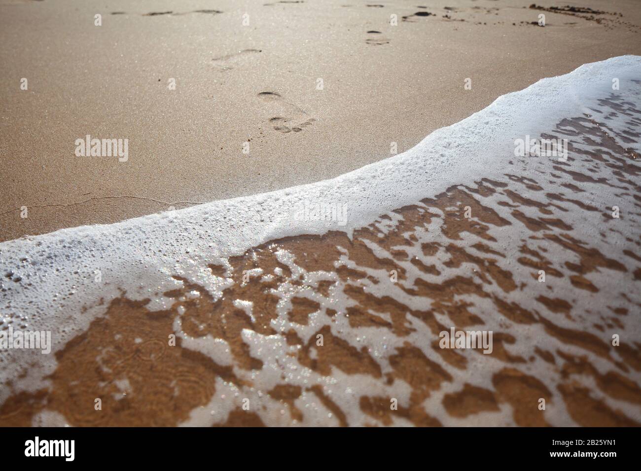 white foam on sandy tropical ocean beach Stock Photo - Alamy