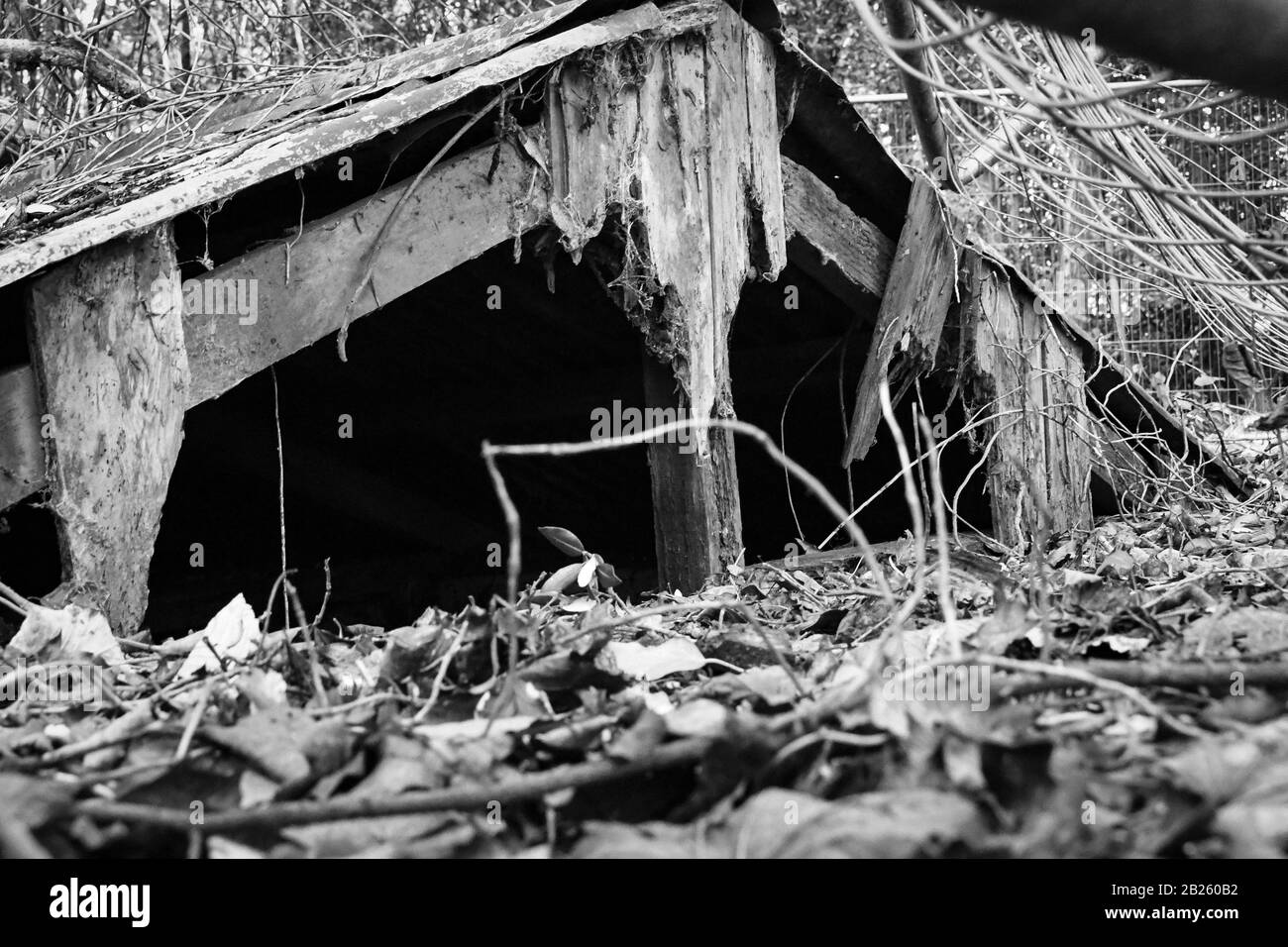 the ruins of an old house deep in the woods that was once used as a hotel but burnt down a long time ago after an argument between a wife and husband Stock Photo