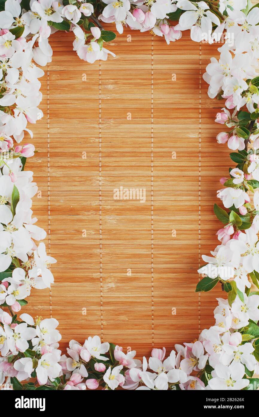Frame of spring flowers of sakura on bamboo background. Beautiful