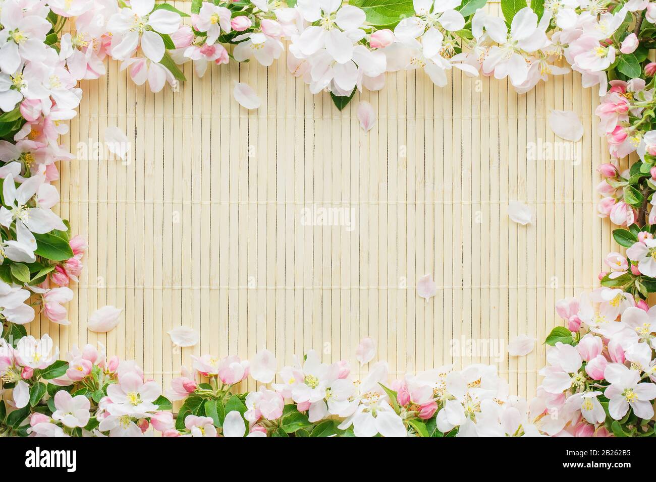 Frame of spring flowers of sakura on bamboo background. Beautiful