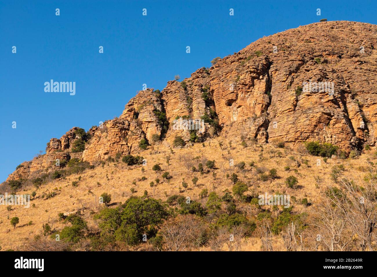 Waterberg sandstone cliffs, Marakele National Park, Waterberg, South Africa Stock Photo
