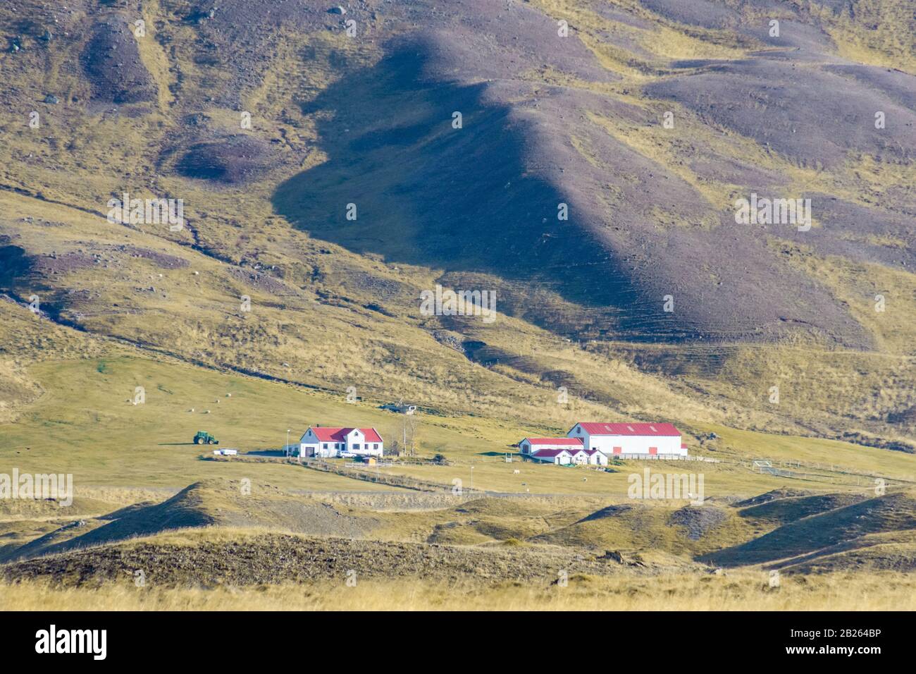 Northern Iceland farm based at the foot of a mountain slope during sunshine weather Stock Photo