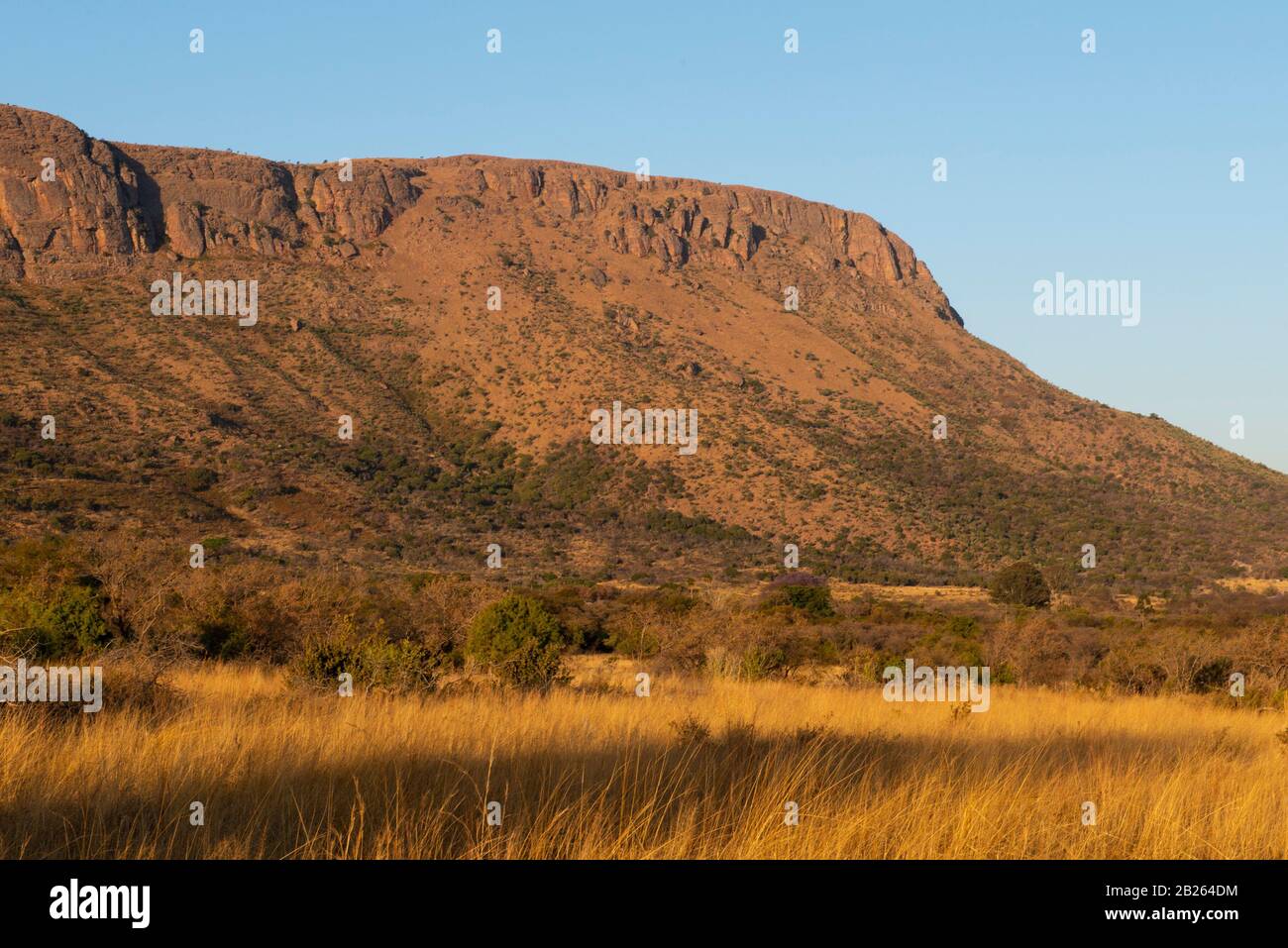 Waterberg sandstone cliffs, Marakele National Park, Waterberg, South