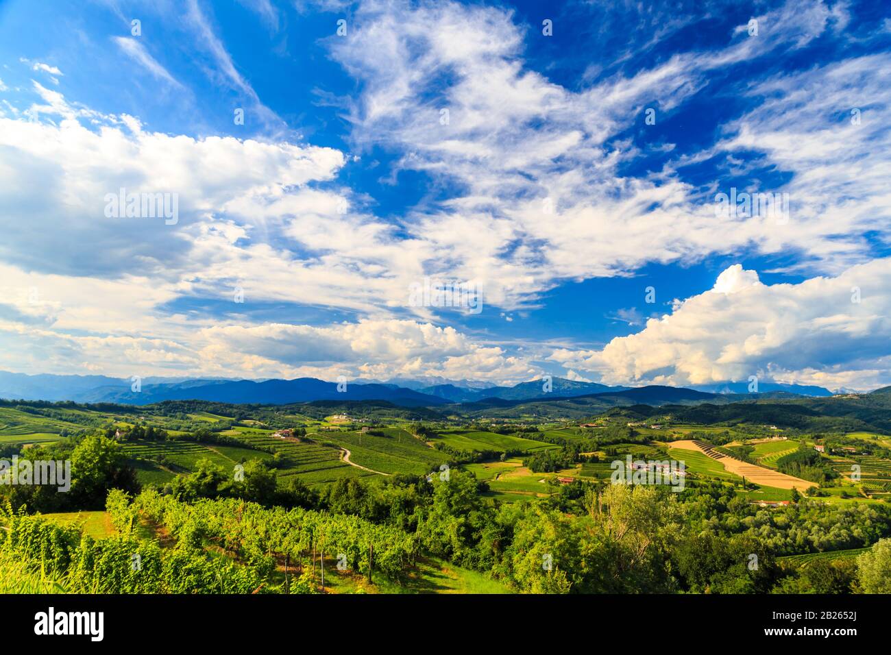 Italy slovenia border vineyard hi-res stock photography and images - Alamy