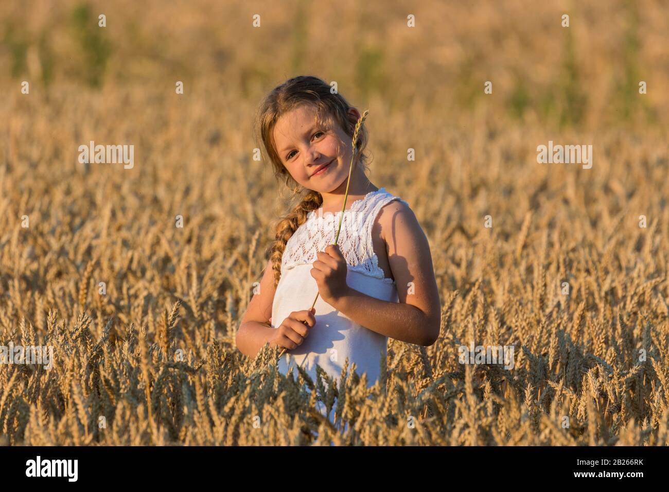 Girl on a wheat field Stock Photo