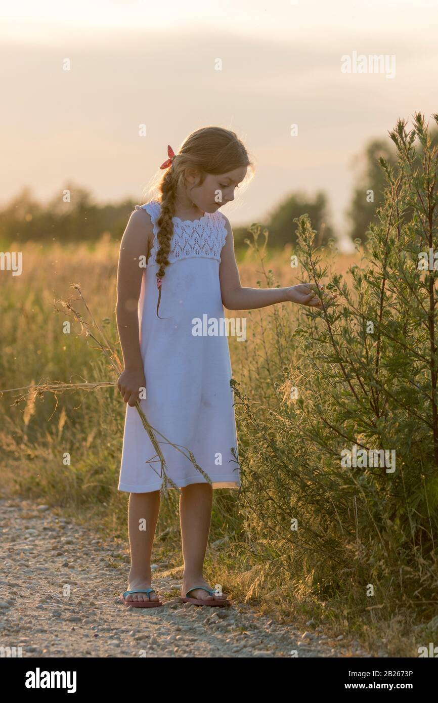Girl on a wheat field Stock Photo