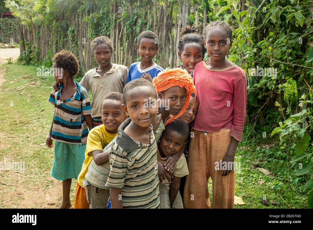 Local Ethiopian children posing for a photograph amongst lush green vegetation in rural southern Ethiopia Stock Photo