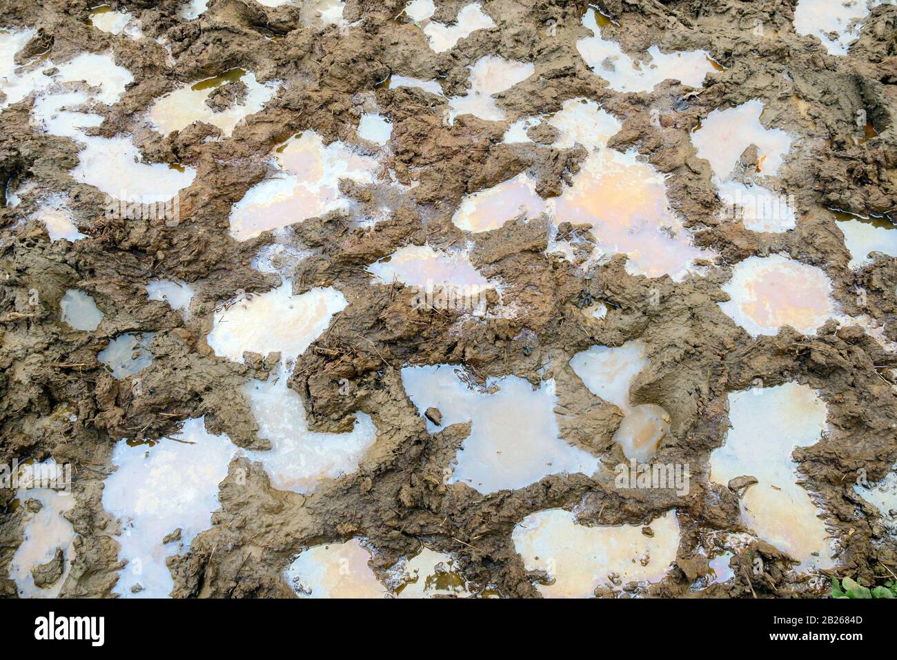 mud texture background with water and oil product residues after rain ...