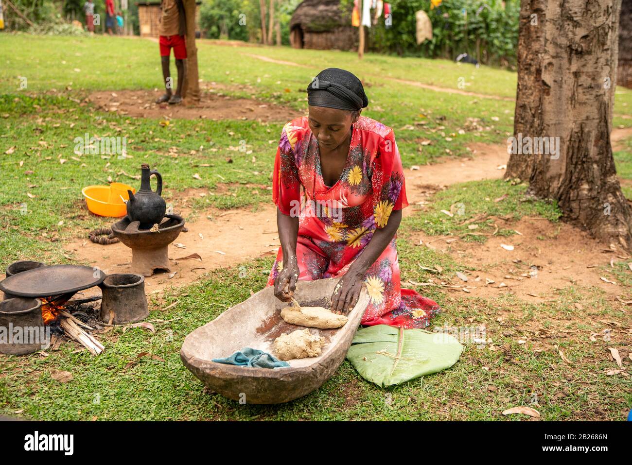 Making of false banana bread-kocho -  from the enset plant in a village in southern Ethiopia Stock Photo