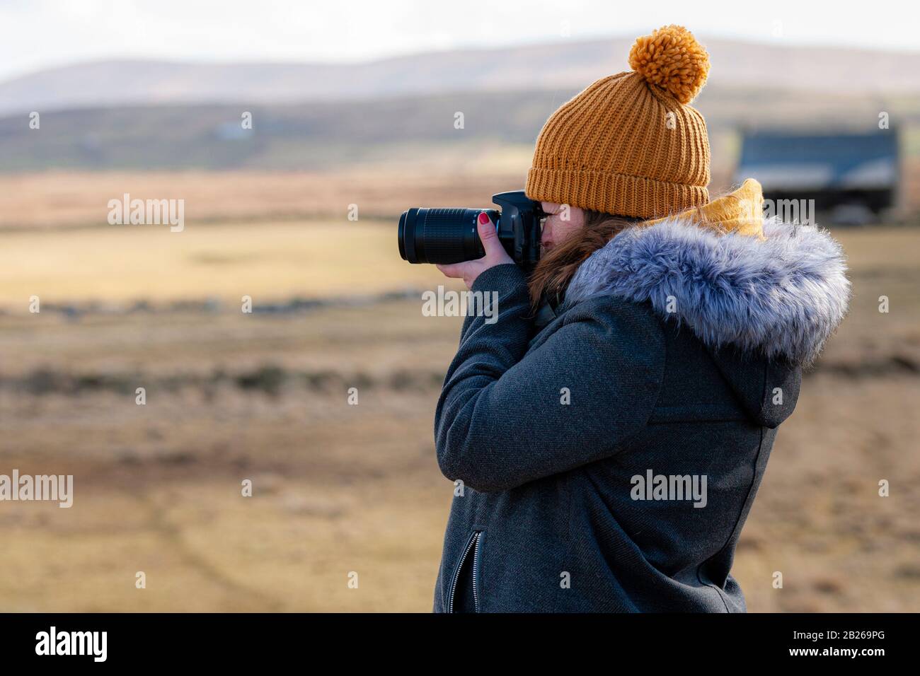 Young woman using a digital camera, Valentia Island, County Kerry, Ireland Stock Photo