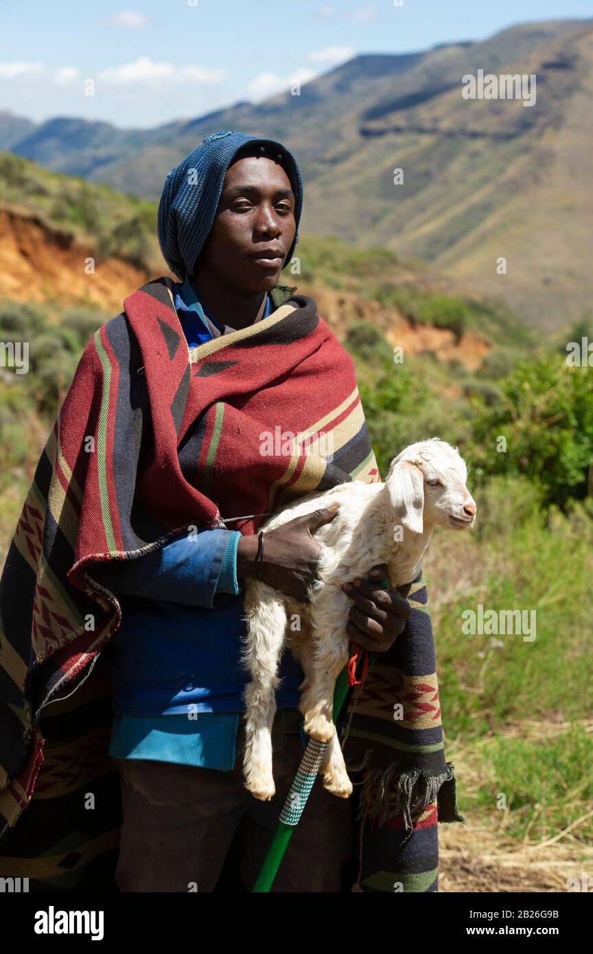 Basotho shepherd carrying a young goat, Lesotho Stock Photo