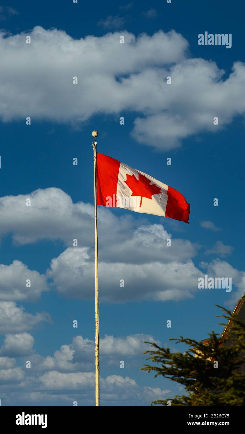 Canadian Flag on Blue Sky Stock Photo