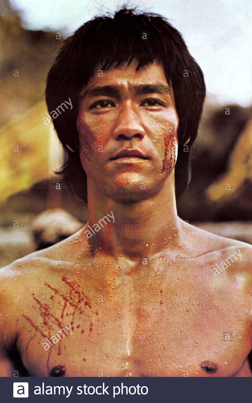 bruce lee pictures enter the dragon