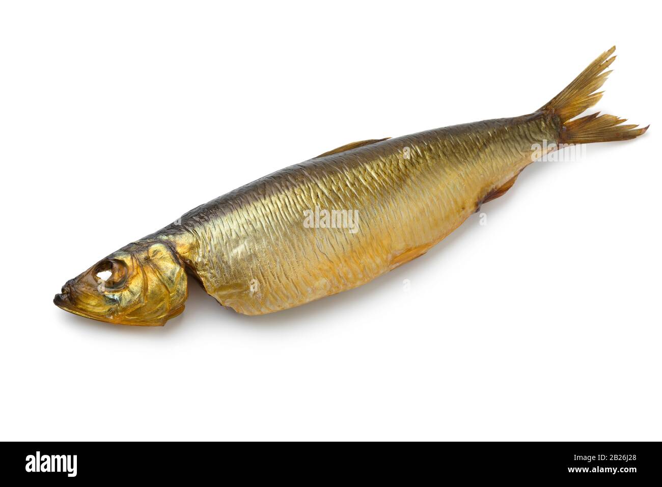 Single whole Buckling, hot smoked herring, isolated on white background Stock Photo