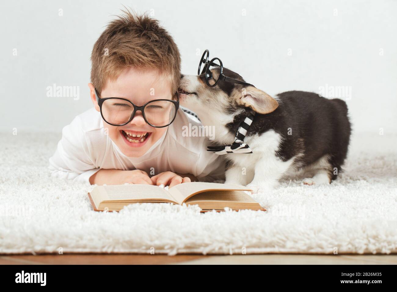 Teen boy and Corgi puppy with glasses Stock Photo