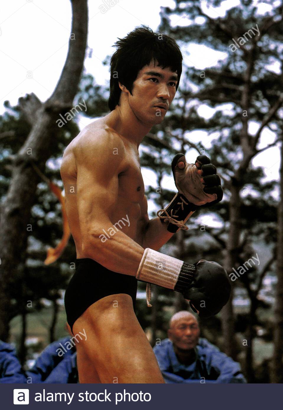 bruce lee in the dragon