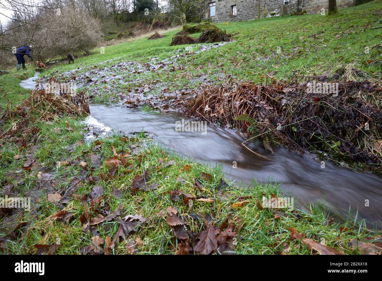 Bewerley, Harrogate, North Yorkshire, England, UK. 16/02/20. After the heavy and persistent rain from storm Dennis, long dormant springs begin to rise Stock Photo