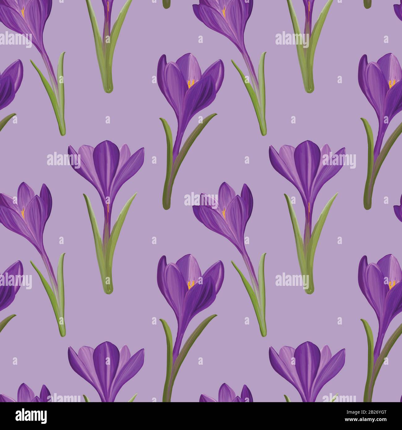 Seamless pattern crocus in spring, vector Stock Vector Image & Art - Alamy