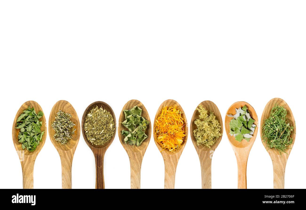 Lot of different dried medicinal herbs on wooden spoons in a line isolated on white background. Copy space and room for text. Stock Photo